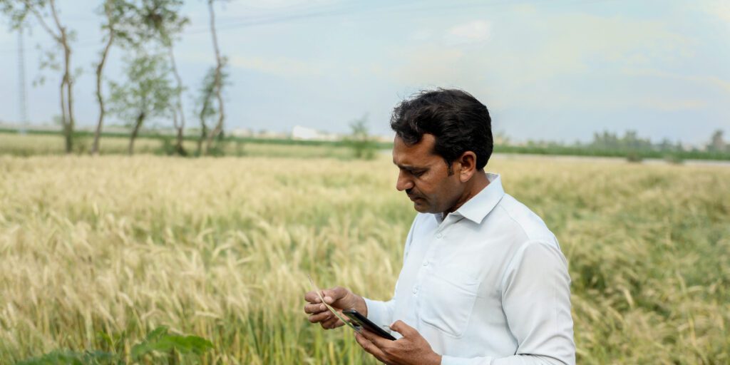 Farmer in Pakistan checking his wheat crop following procedures for biopesticide registration in Pakistan