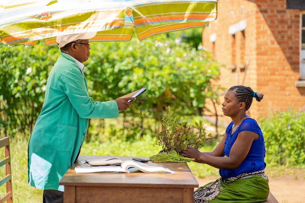 "Simplex Chisale, Plant Doctor in Mitundu Village, Malawi"