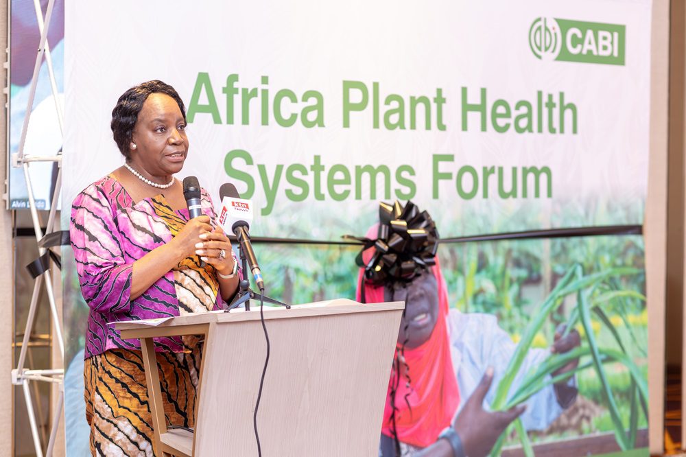 P1193649-Enhanced-NR