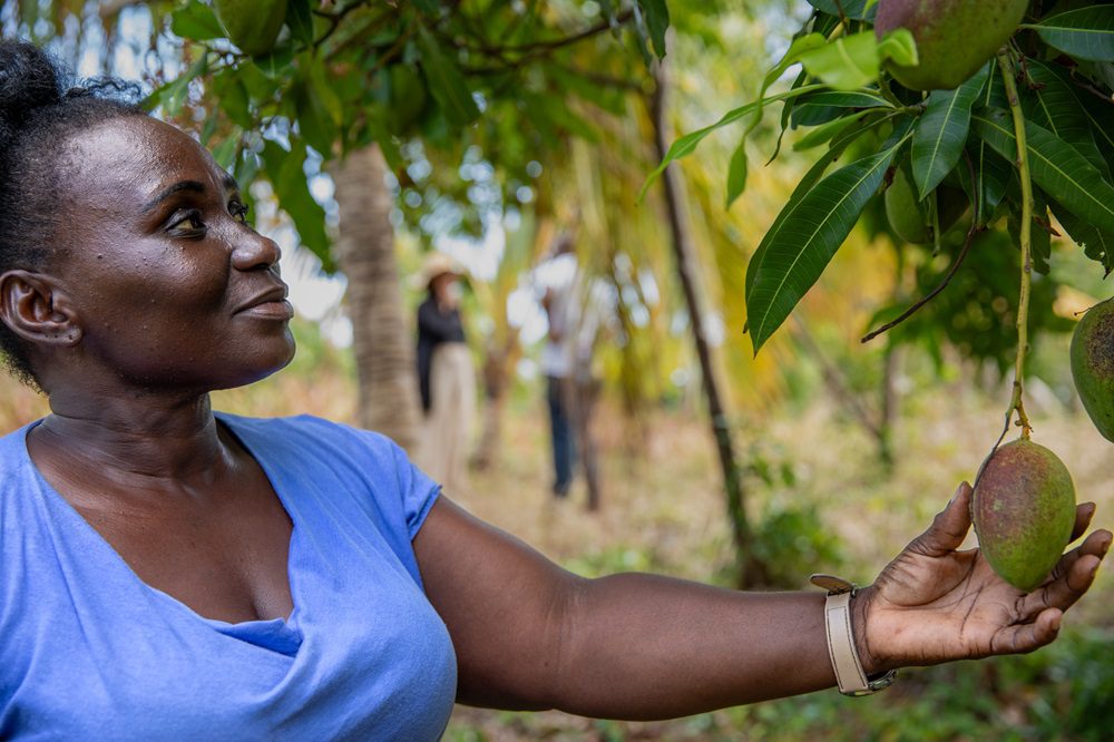 Noreen Francine is a farmer in Grenada benefitting from assistance from CABI.