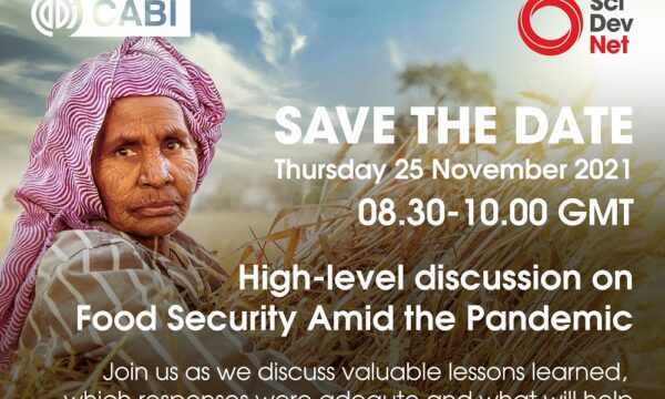 SciDev_STD_Food_Security_Amid_Pandemic
